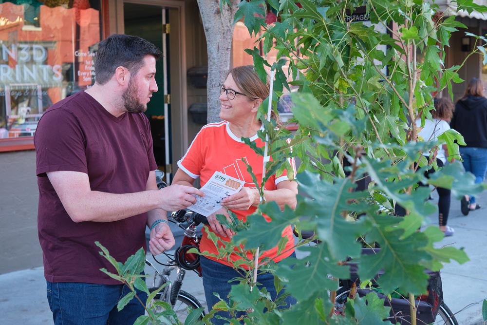 Scenes from 2024 - tree giveaway