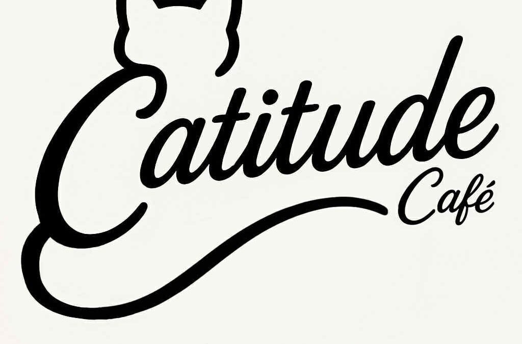 Catitude Cafe