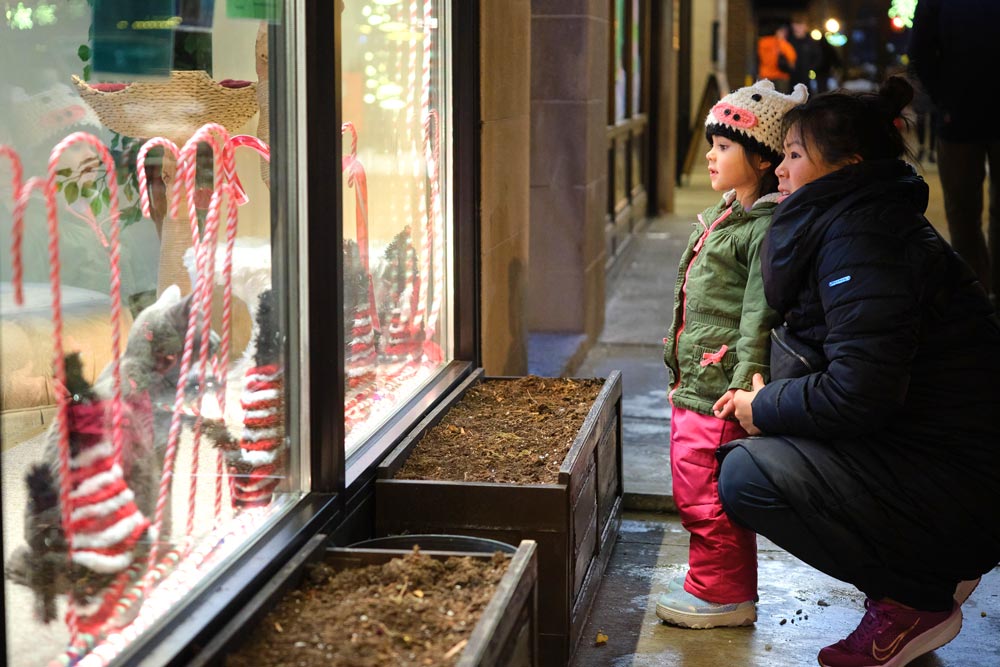 Window displays that will enchant young and old